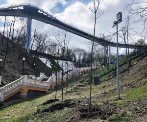 У Києві «зеленбудівці» упорядковують сквери