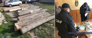 На Закарпатті лісничий погорів на хабарі