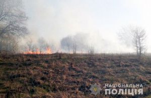 На Чернігівщині поліція піймала паліїв