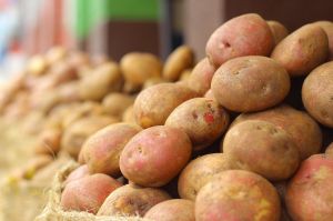 Картопля у селян пропадає, а ми закуповуємо єгипетську