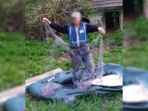 Під час нересту на ставку ловив карасів сіткою