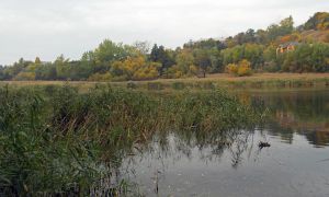Кияни хочуть парк замість забудови