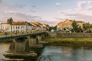 395,1 млн грн податків надійшло до казни Ужгорода в січні—травні