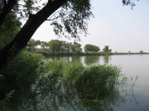 Дамба врятує від екологічної катастрофи