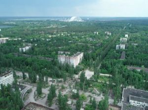 Заблудлого нелегала шукала поліція