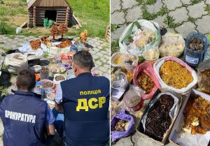 Вилучили майже 82 кілограми бурштину