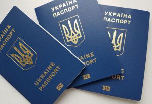 Житомирщина: Мріють про євромандри і на карантині