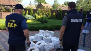 Рівненська область: Вилучили бурштину на 30 мільйонів гривень