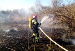 З початку року — понад 400 пожеж. Досить!