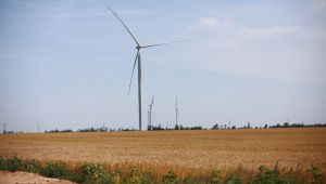 На Запоріжжі будують найбільшу в країні ВЕС