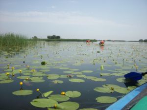 На Запоріжжі туристи подолали складний маршрут 