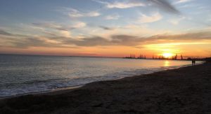 В Одесі та Одеській області купатися небезпечно