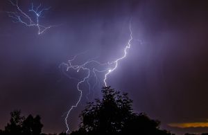 На Херсонщині блискавка підпалила ліс 