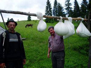 У підхмар’я на салаш (Полонинський репортаж)