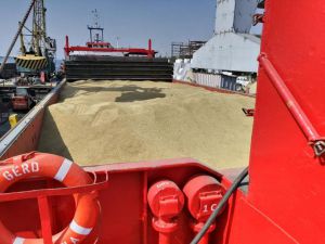 Херсонщина: Ячмінь узяв курс на експорт
