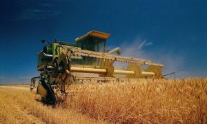 Вінниччина: Біологічний потенціал високий, але ж дощі...