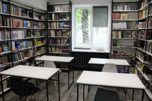 Реформа бібліотек по-запорізьки