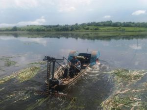 Професію рибовода в Млинівському центрі опановують і жінки