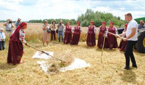 Жнивують усі райони