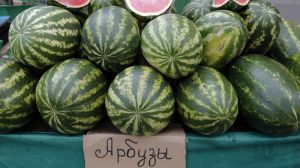 Кавуни безпечні, зате дині отруйні