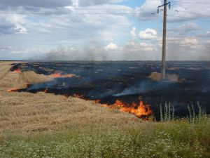 Паліїв стерні в Херсонській області штрафи не лякають