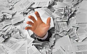 Херсонщина: Важливі енергетичні проекти  грузнуть у паперовій трясовині