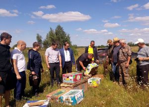 На Коростенщині оселилися «царські птахи»