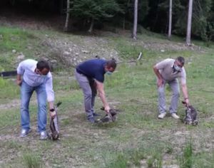 Закарпаття: Синевир очікує на розвій туризму