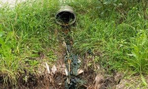 КП «Водоканал» Запорізької міськради завдало шкоди довкіллю
