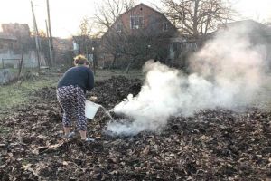 Сумщина: Хотіли позбутися трави, а загинули самі