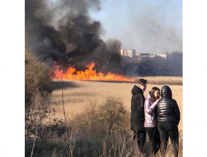 Волинь: Проти паліїв — усією громадою
