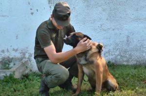 Хмельницький: Медаллю «За віддану службу» нагородили... собаку