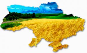 Суспільний договір — згода народу України