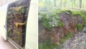 На Житомирщині понівечили унікальну  геологічну пам’ятку