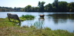 Сумщина: Землю і водойму повернули людям