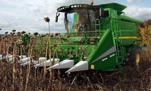 Сумщина: Посуха виводить у лідери