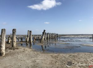 Одещина: Хто рятуватиме українське «Мертве море»?