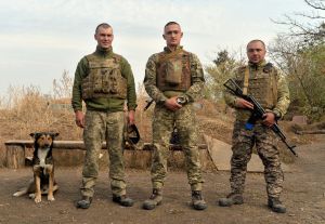 На ворожі обстріли поки що не відповідають