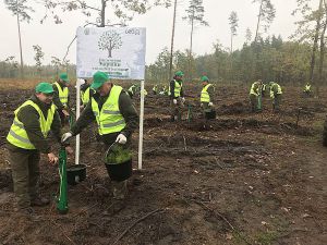 Житомирщина: І погода сприяла...
