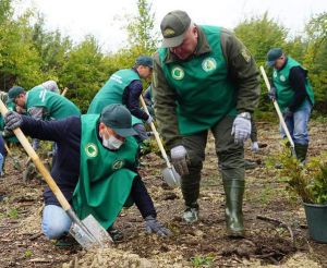 Закарпаття: Мільйон дерев — за добу!
