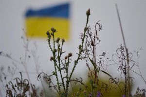 Червона заграва над долями