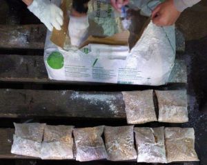 Одеса: Вилучено психотропні речовини
