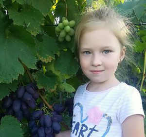 Івано-Франківщина: Погода посилила природний відбір