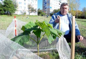 Чоловік, який дарує місту квіти і сади