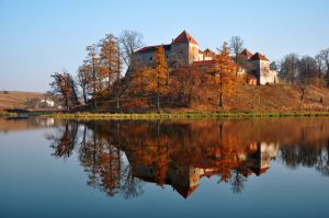Свірзька перлина