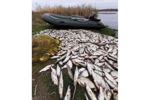 Полтавщина: Браконьєри потрапили на гачок... Кримінального кодексу