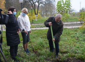 Волинь: Ще куштуватимемо Косачівські груші