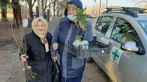Фруктові дерева з Брусилівщини ростимуть на Луганщині