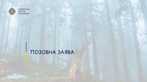 Закарпаття: Лісовий заказник необхідно зберегти