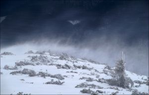 Рятувальники Прикарпаття закликають утриматися від походів у високогір’я